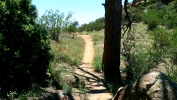 PICTURES/Granite Mountain Trail/t_Trail3.JPG